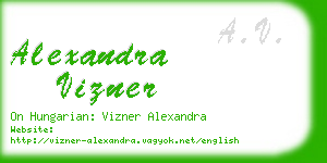 alexandra vizner business card